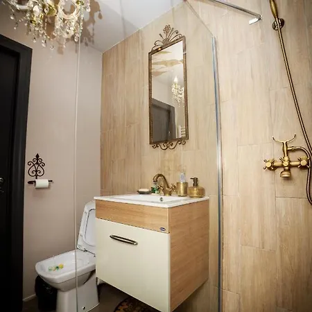 Apartment Exquisite 3 In The Heart Of Thetown Campulung Moldovenesc