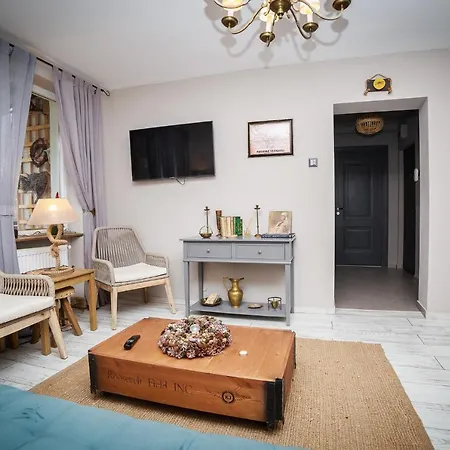 Apartment Exquisite 3 In The Heart Of Thetown Campulung Moldovenesc