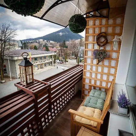 Exquisite 3 In The Heart Of Thetown Campulung Moldovenesc