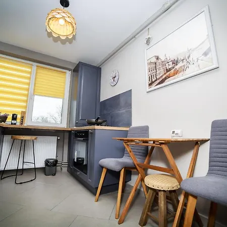 Exquisite 3 In The Heart Of Thetown Apartment Campulung Moldovenesc